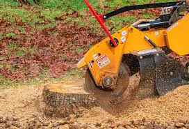 Best Commercial Tree Services  in Pacifi, CA